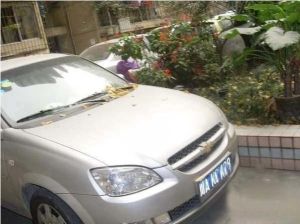 天合苑3室2厅东