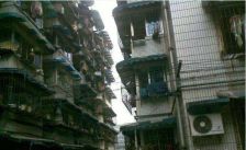 营康巷32号 3室2厅 东南 东