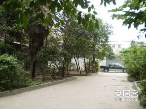茶店子育苗路10号2室1厅东南