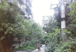 茶店子育苗路10号 2室1厅 东 东南