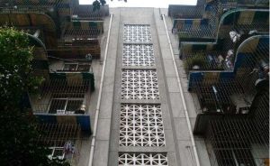 茶店子育苗路10号 2室1厅 东南