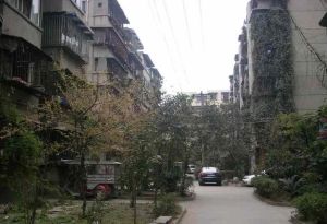 茶店子育苗路10号 2室1厅 东南