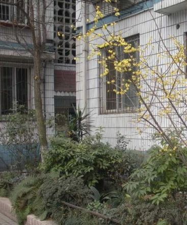 文华路4号院实景图