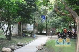 文华路4号 3室2厅 东南