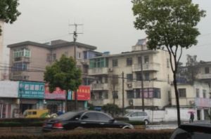 真如新村1室1厅南