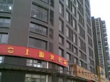 金滩板块 可看陆家嘴三件套 黄浦江景观 电梯高区