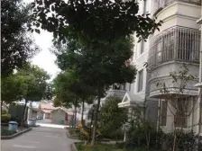 独栋别墅,客厅朝南,南北通透,繁华地段,近地铁,精装修,带露台,一楼送花园