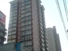 内环边近滨江近地铁 02年电梯商品房 看陆家嘴三件套