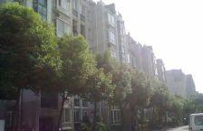 一梯四户,大开间,厨卫朝北,品质小区