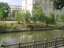 99年商品房 地贴几步路 一梯两户 紧靠内环