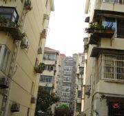 金杨·金桥路530弄·2室·11厅