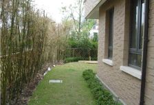 闹中取静,双拼别墅,房型正气,得房率高,精装修,环境优美