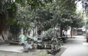 百寿路2号 2室1厅 南 北