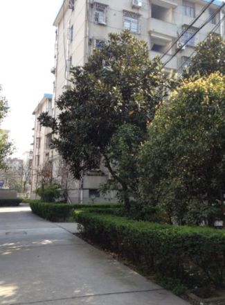 铁树坊实景图