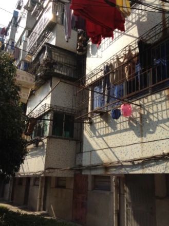 铁树坊实景图
