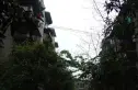 荣光巷5号院实景图