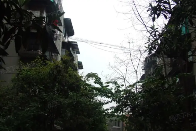 荣光巷5号院实景图