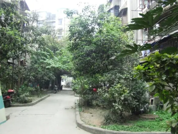 荣光巷5号院实景图