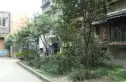 荣光巷5号院实景图