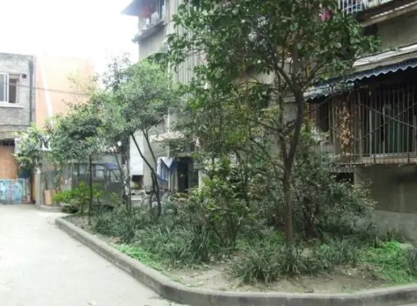 荣光巷5号院实景图