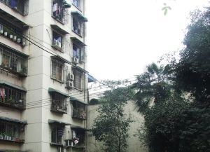 石人南路39号3室1厅东南南
