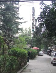 石人南路85号 2室1厅 南