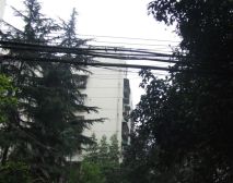 石人南路85号2室1厅西南