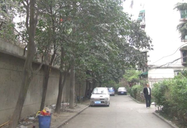 石人南路85号院实景图