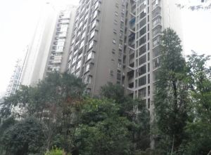 祥域2室1厅西南