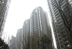 祥域2室1厅西南