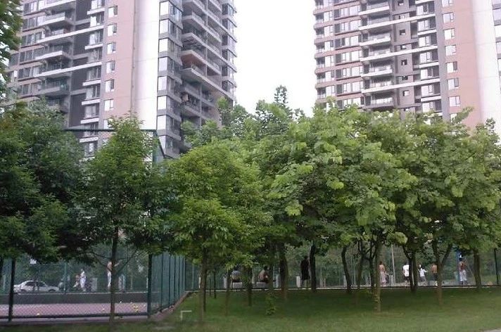 小区相关图