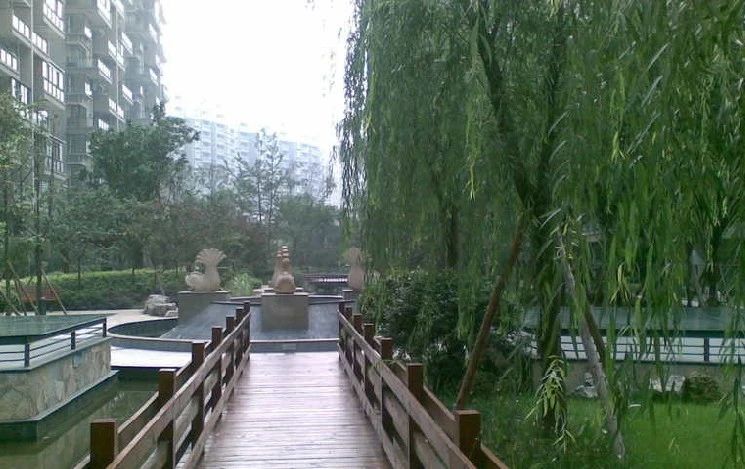 实景图