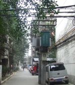 石人南路100号2室1厅东南