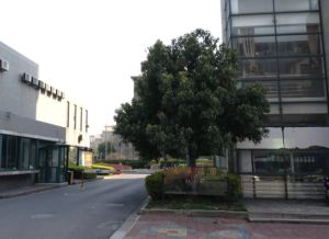 南溪花园二期4室2厅南