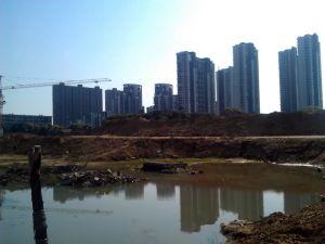 星洲国际南北通透,采光好装修好,环镜优美周边匹套完善,,出行方便