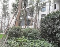 凯德风尚3室1厅南