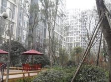 凯德风尚2室1厅东南南