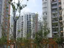 小区环境优雅 次新电梯房 停车位充足