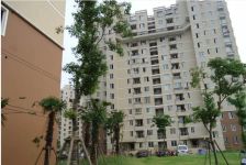 张江南南北通大两房,中间楼层,楼栋位置好