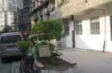 大夹社区实景图