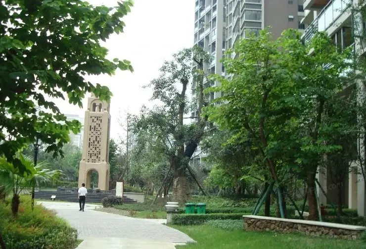小区相关图