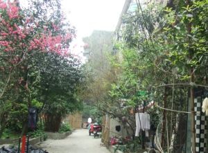 文华路14号3室1厅南北