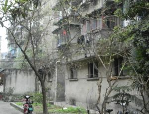 文华路12号2室1厅东南