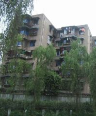 文华路20号1室1厅东