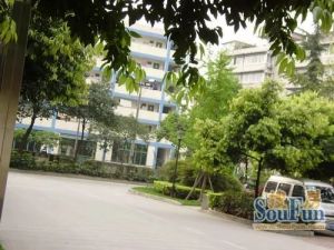 玉林西街后巷1号3室1厅南北