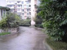 宏声大道 供销社宿舍(宏声大道)三房32.3万