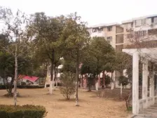 30万精装修,高楼层采光好,近地铁和金桥国际商场