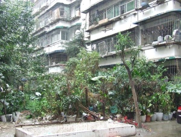 小区相关图
