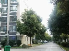 户型好,复式,居住舒适,诚意售