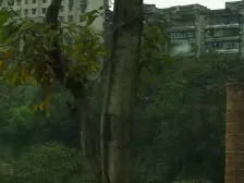 房屋价格便宜,出入方便,楼下公交车,菜市场,.